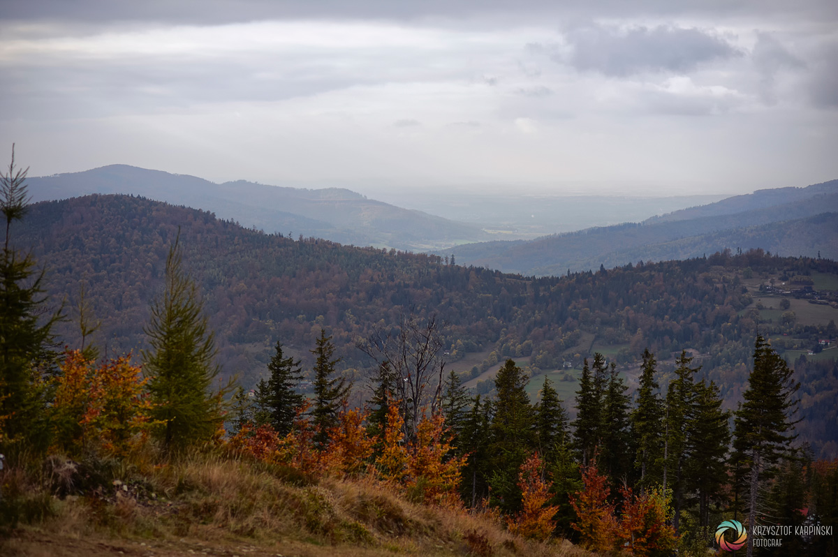 korona gor polski